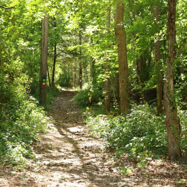 Trails Pontiac Pathways 2