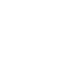 birthday ball icon